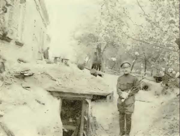 Весна 1915 г. Яблони в цвету. Блиндаж командира 8 роты.